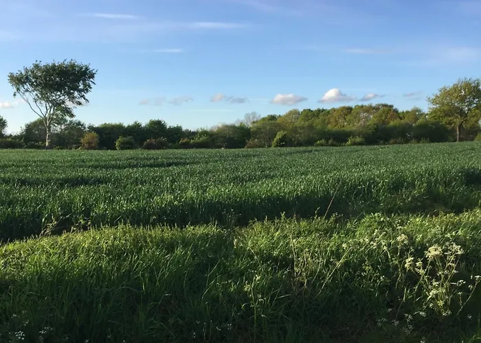 Semesterbostad Kate *